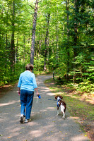 Gaylord, Aspen Park, Summer, Trails, Hiking, Dog