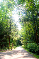 Gaylord, Aspen Park, Summer, Trails, Hiking