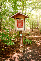 NCT: Petoskey Area