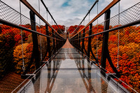 Boyne Mountain Skybridge #4042