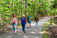 Gaylord, Aspen Park, Summer, Trails, Hiking,