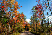 2022, August, Gaylord, Pigeon River State Forest